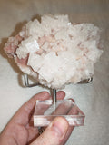 Pink Halite Crystal Cluster on Display Stand 203g Natural Cubic Salt Specimen