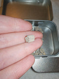 Fossilised Crinoid Stars in Tin 60g Natural Star Fossil Specimen Novelty Gift
