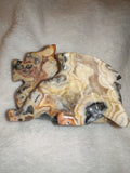271g Crazy Lace Agate Dragon Carving Hand Carved Gemstone Figurine Crystal