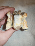 271g Crazy Lace Agate Dragon Carving Hand Carved Gemstone Figurine Crystal