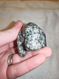 Natural Grey Granite Manatee Carving Hand Carved Gemstone Sea Cow Figurine