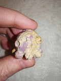 Stichtite Serpentine Octopus Carving Atlantisite Crystal Animal Figurine 22g