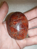 Natural Carnelian Agate Palm Stone Polished Pocket Pebble Red Chalcedony 94g