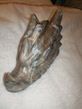 Agate Crystal Dragon Head Carving Druzy Geode Skull Sculpture Figurine 912g