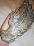 Agate Crystal Dragon Head Carving Druzy Geode Skull Sculpture Figurine 912g