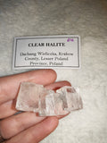 Clear Halite Crystal Cluster Wieliczka Poland Rock Salt Mineral Specimen