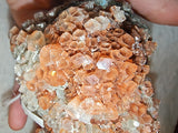 Large Red Aragonite Cluster Natural Crystal Specimen Healing Mineral 645g