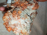 Large Red Aragonite Cluster Natural Crystal Specimen Healing Mineral 645g