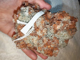 Large Red Aragonite Cluster Natural Crystal Specimen Healing Mineral 645g