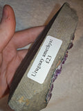 Uruguayan Amethyst Geode Slice Standing Crystal Cluster Specimen 287g