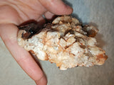 Dogtooth Calcite Crystal Specimen Golden Calcite Goethite Matrix 254g