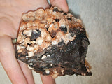 Dogtooth Calcite Crystal Specimen Golden Calcite Goethite Matrix 254g