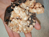 Dogtooth Calcite Crystal Specimen Golden Calcite Goethite Matrix 254g