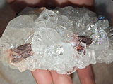 Dogtooth Calcite Crystal Specimen Golden Calcite Goethite Matrix 254g (Copy)