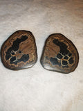 Polished Septarian Nodule Slices Pair Dragon Stone Cut Slab Set 128g