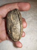 Polished Septarian Nodule Slices Pair Dragon Stone Cut Slab Set 128g