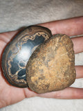 Polished Septarian Nodule Slices Pair Dragon Stone Cut Slab Set 128g