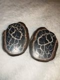 Polished Septarian Nodule Slices Pair Dragon Stone Webbed Slice Set 127g