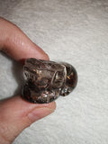 Lodolite Garden Quartz Sleeping Cat Figurine Inclusion Crystal Carving 18g