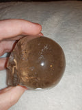Smokey Quartz Crystal Skull Natural Carved Gemstone Figurine Display 288g