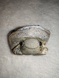 Blue Apatite Carved Frog Toad Figurine Natural Gemstone Animal Carving 55g