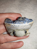 Blue Apatite Carved Frog Toad Figurine Natural Gemstone Animal Carving 55g