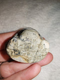 Blue Apatite Carved Frog Toad Figurine Natural Gemstone Animal Carving 55g