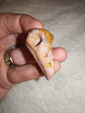 Pink Opal Bird Skull Carving Natural Rose Crystal Raven Specimen Pocket Stone