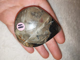 Petrified Wood Teardrop Palm Stone 94g Fossilised Agatized Wood Crystal Carving