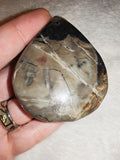 Petrified Wood Teardrop Palm Stone 94g Fossilised Agatized Wood Crystal Carving
