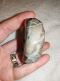 Petrified Wood Teardrop Palm Stone 94g Fossilised Agatized Wood Crystal Carving