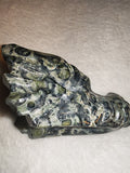 Kambaba Jasper Dragon Head Carving 141g Crocodile Jasper Skull Figurine