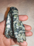 Kambaba Jasper Dragon Head Carving 141g Crocodile Jasper Skull Figurine