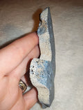 Natural Blue Sponge Coral Polished Slab 82g Fossilized Marine Specimen Slice