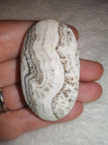 Natural Zebra Jasper Palm Stone 37g Banded Agate Pebble White & Black Crystal