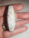 Natural Zebra Jasper Palm Stone 37g Banded Agate Pebble White & Black Crystal