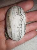 Natural Zebra Jasper Palm Stone 37g Banded Agate Pebble White & Black Crystal