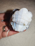Natural Druzy Grey Agate Pixiu Carving 248g Chalcedony Quartz Crystal Figurine