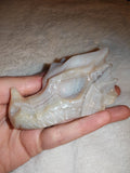 Banded Agate Dragon Head Carving 167g Natural Cream Grey Gemstone Skull