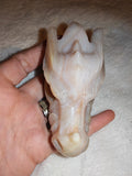Banded Agate Dragon Head Carving 167g Natural Cream Grey Gemstone Skull