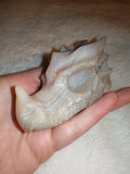 Banded Agate Dragon Head Carving 167g Natural Cream Grey Gemstone Skull
