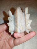 Banded Agate Dragon Head Carving 167g Natural Cream Grey Gemstone Skull