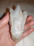 Banded Agate Dragon Head Carving 167g Natural Cream Grey Gemstone Skull