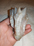 Banded Agate Dragon Head Carving 167g Natural Cream Grey Gemstone Skull