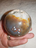 Natural Flower Agate Crystal Sphere Quartz Geode Druzy Pocket Polished Orb # 70