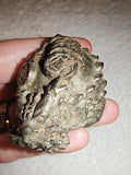 107g Pyrite Money Frog Carving Natural Fool's Gold Feng Shui Toad Figurine