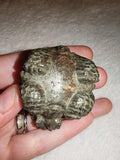 107g Pyrite Money Frog Carving Natural Fool's Gold Feng Shui Toad Figurine