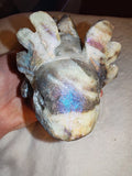 668g Titanium Aura Quartz Druzy Axolotl Carving Rainbow Crystal Figurine
