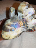 668g Titanium Aura Quartz Druzy Axolotl Carving Rainbow Crystal Figurine