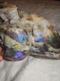 668g Titanium Aura Quartz Druzy Axolotl Carving Rainbow Crystal Figurine
